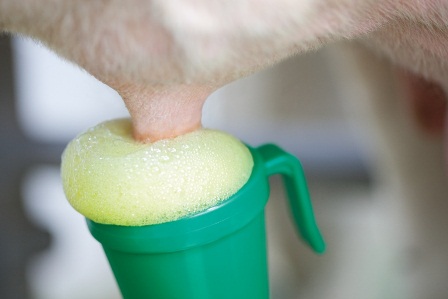 средство перед доением OxyFoam, 20 кг